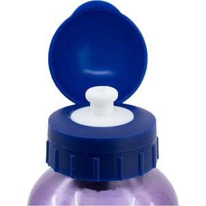Borraccia Frozen da 560 ml in Alluminio - 3