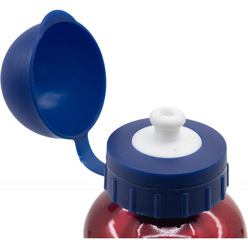 Borraccia Avengers da 560 ml in Alluminio - 3