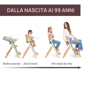 Sedia Evolutiva Chicco Meraviglia Fossil - 2
