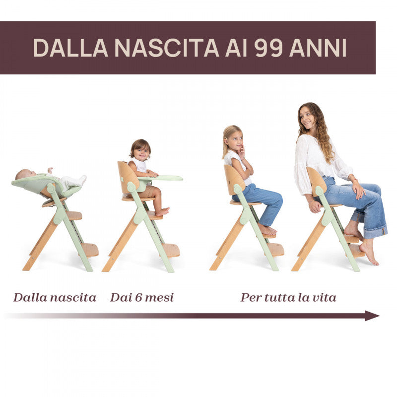 Sedia Evolutiva Chicco Meraviglia Fossil - 2