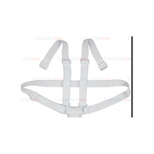 Cinture Altalena Chicco Polly Swing