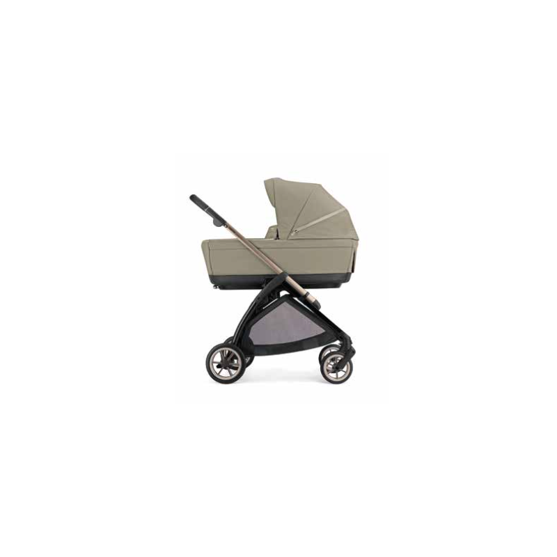 Nuovo Trio Electa Inglesina Darwin Infant