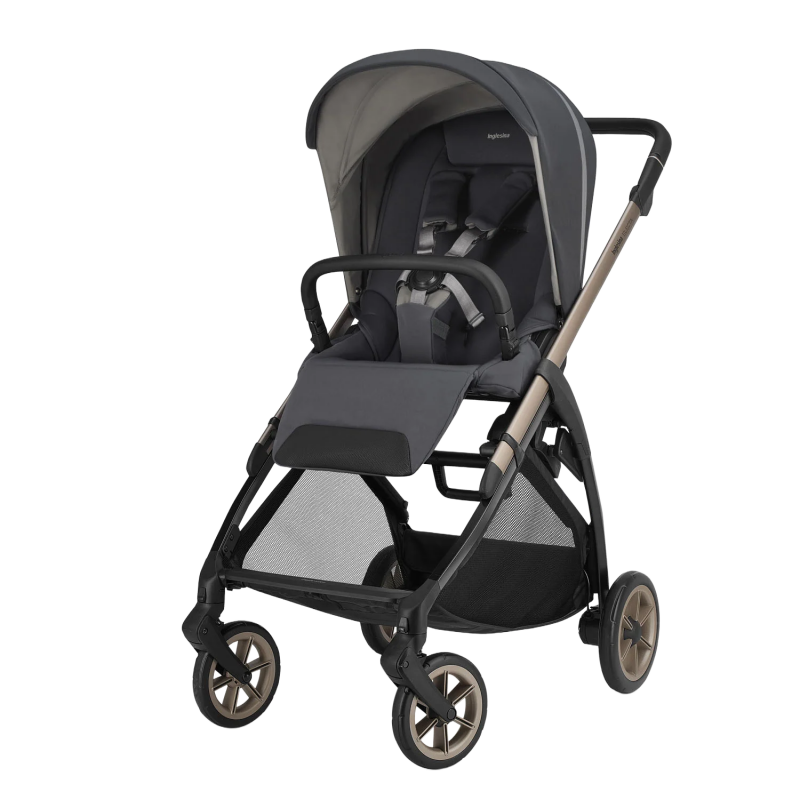 Trio Inglesina Electa 2026 Darwin Infant Rooftop Blue - 4