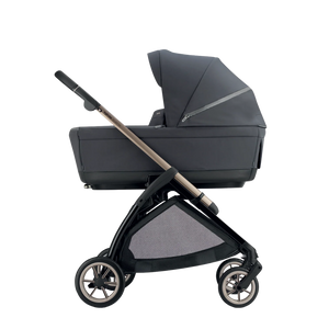 Trio Inglesina Electa 2026 Darwin Infant Recline Evo Garage Grey - 2