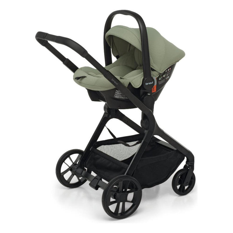 Trio Brio Brevi Sage - 2