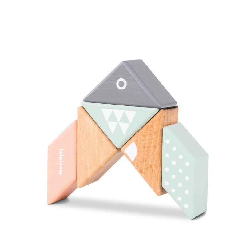 Magno Blocks 6