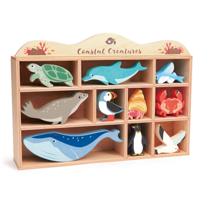 Set Completo Creature costiere