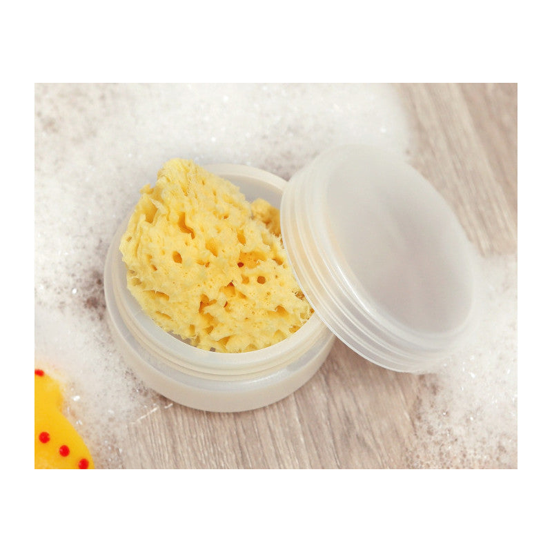 Spugna Naturale per Bagnetto - 2