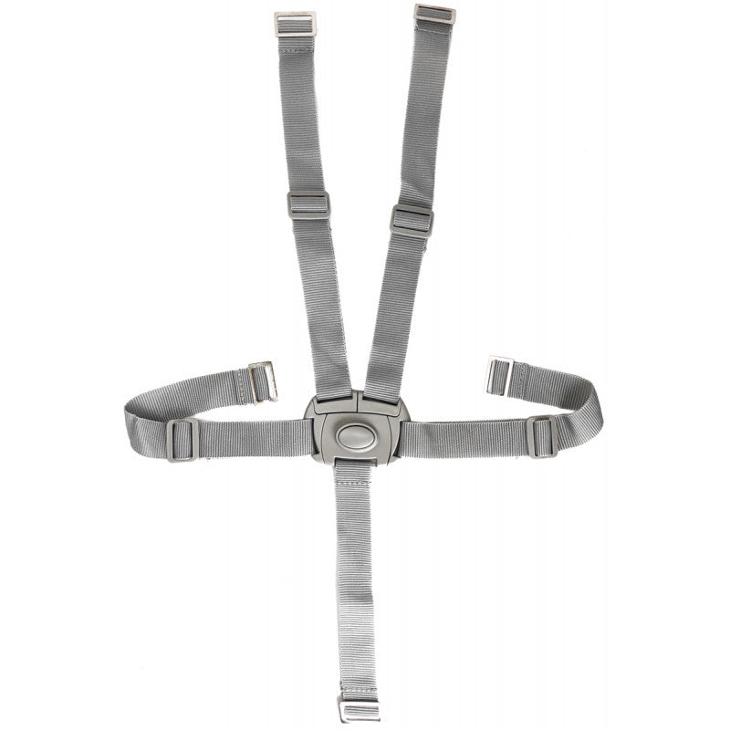 Kit Cinture Per Seggiolone Campione Cam