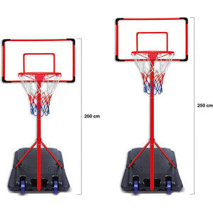 Canestro da Basket - Altezza 250 cm - 2
